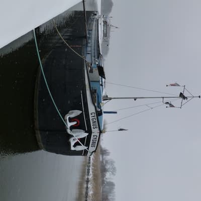 Spits (uit 1955, 38.86m)