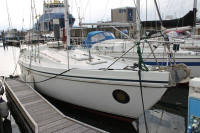 Contest (uit 1982, 9.5m)