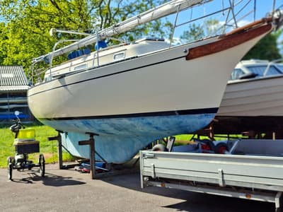 Bayfield (uit 1981, 8.84m)