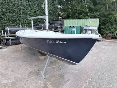 Randmeer (uit 2005, 6.5m)