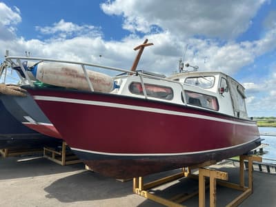 Peerenboom (uit 1975, 6.6m)