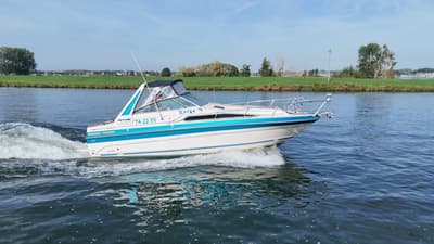 Sea Ray (uit 1988, 8.1m)