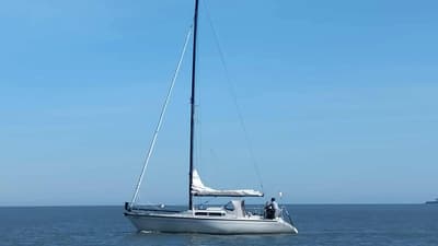 Dehler (uit 1987, 10.1m)