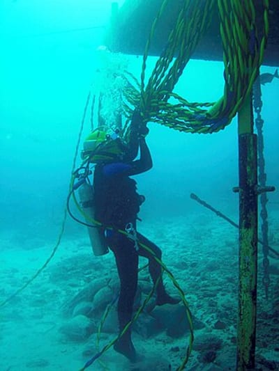 Aquanaut logo