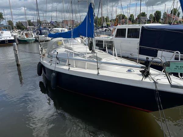 Arabesque 30