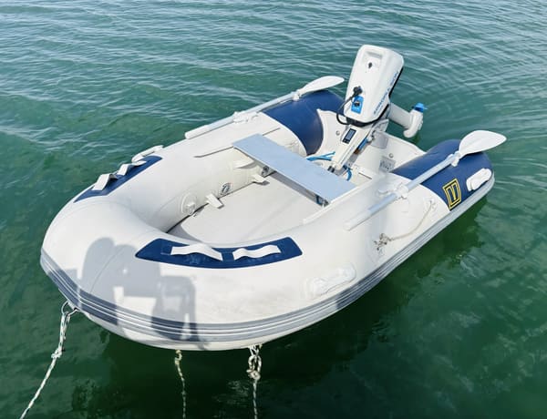 Bijboot Vetus Traveller VB230T – E-propulsion spirit 1.0 motor