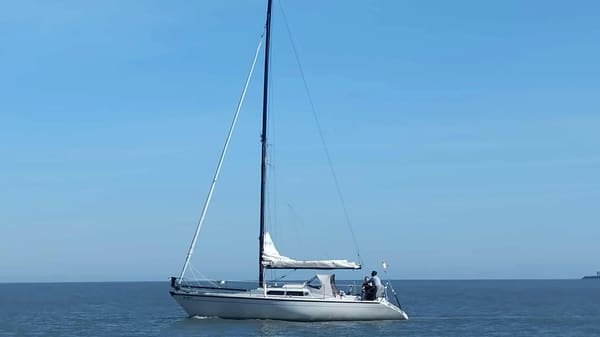Dehler Optima 101 1987 – Polyester zeiler met nieuwe mast
