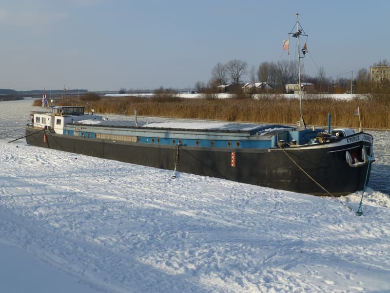 Spits 38.86 foto 10