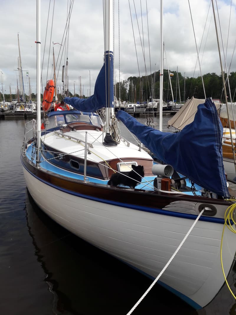 Zweedse Spitsgatter 9.50 foto 2