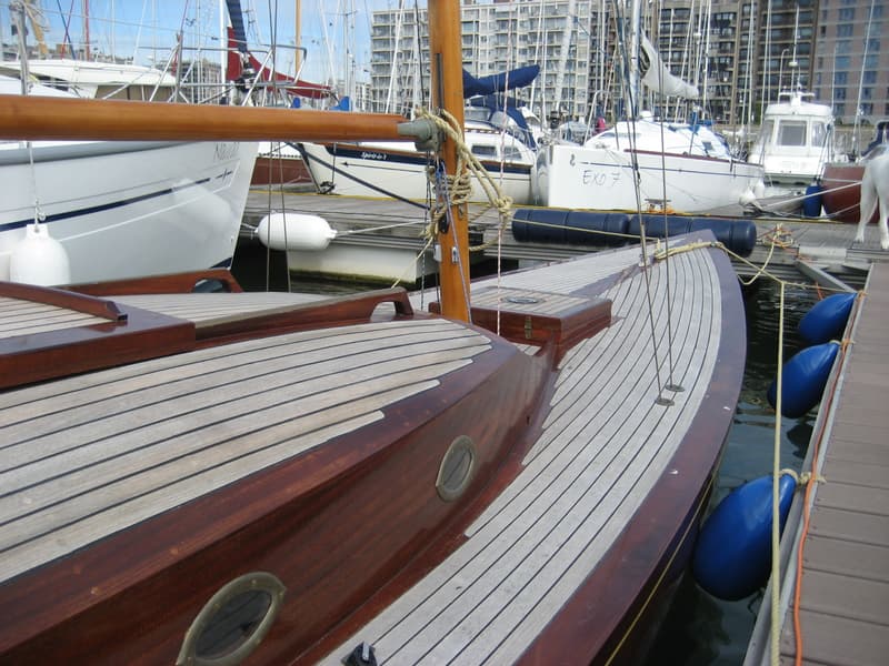 Draak 870 foto 2