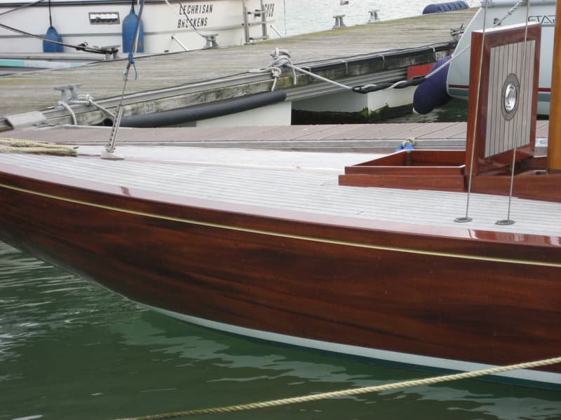 Draak 870 foto 4
