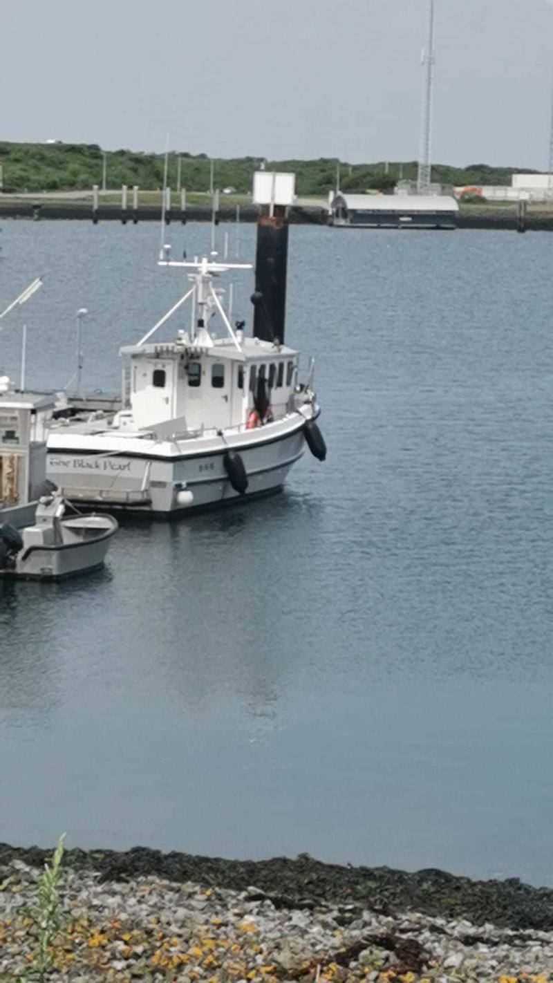 Vissersboot Sygnus Catfish foto 6