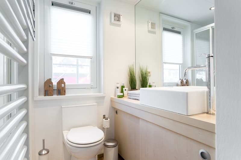 Prins Homeship 1350 Houseboat Flark Ligplaats Voorhanden foto 19