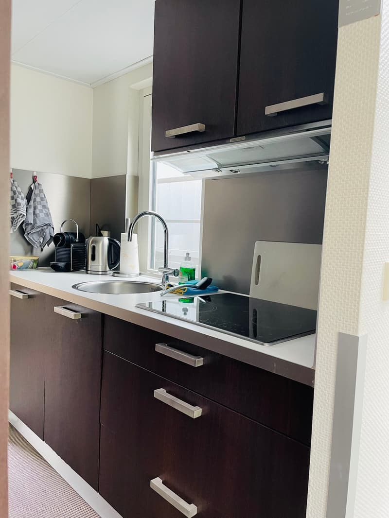 Prins Homeship 1350 Houseboat Flark Ligplaats Voorhanden foto 17