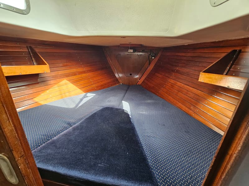 De foto toont het interieur van een kajuit met houten wanden, een wit plafond en blauwe kussens. — Frans Maas Raider 35