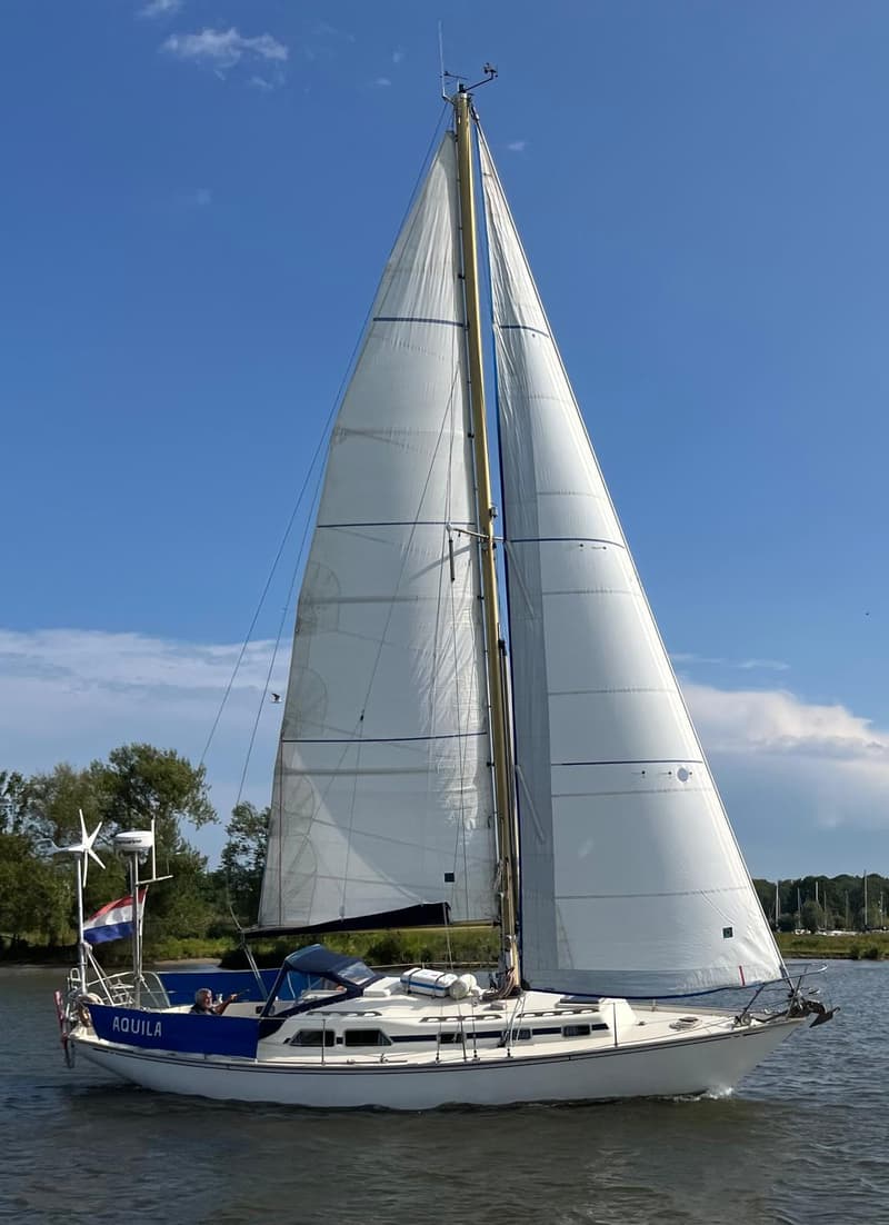 Een witte zeilboot met de naam "AQUILA" op de spiegel vaart op het water met de zeilen gehesen. — Frans Maas Raider 35