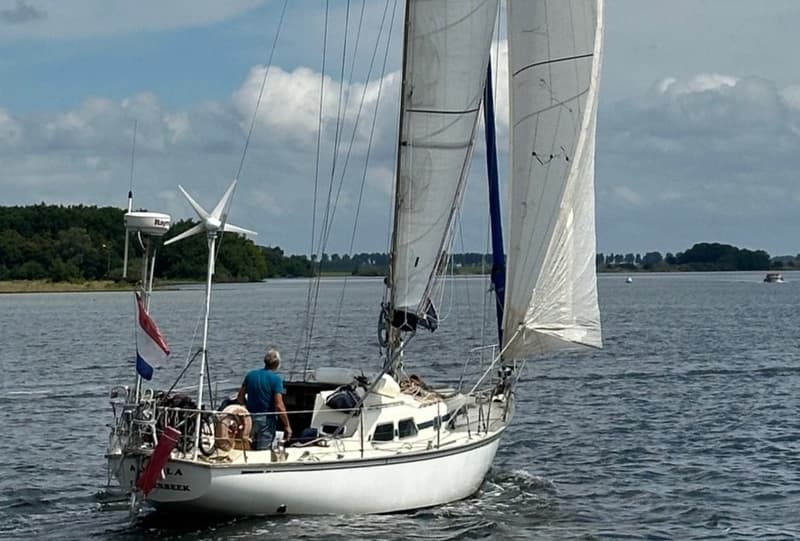 Een witte zeilboot met een man aan het roer vaart op het water, met een Nederlandse vlag aan de achtersteven.