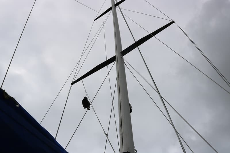 Cal 31 foto 20