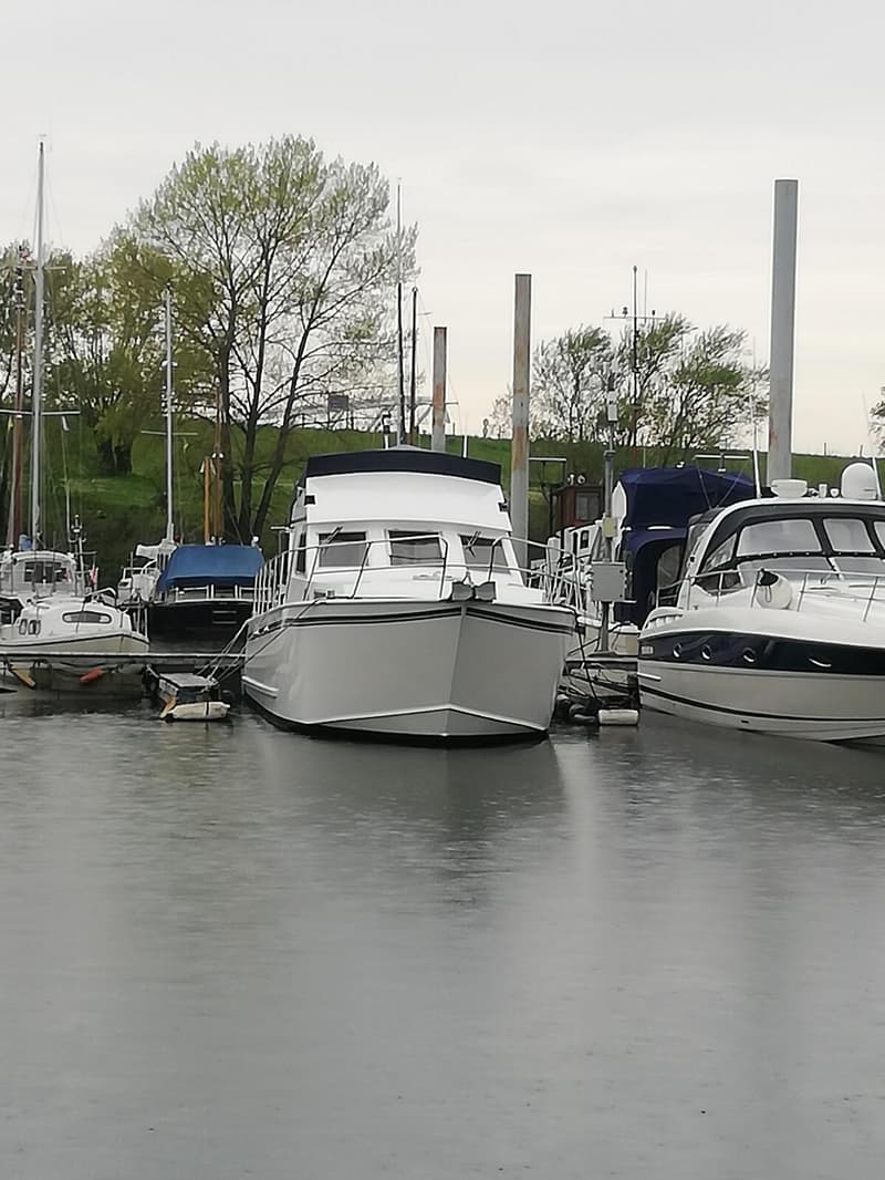 Een witte motorboot met een donkerblauwe kap ligt afgemeerd in een haven, met andere boten en bomen op de achtergrond.