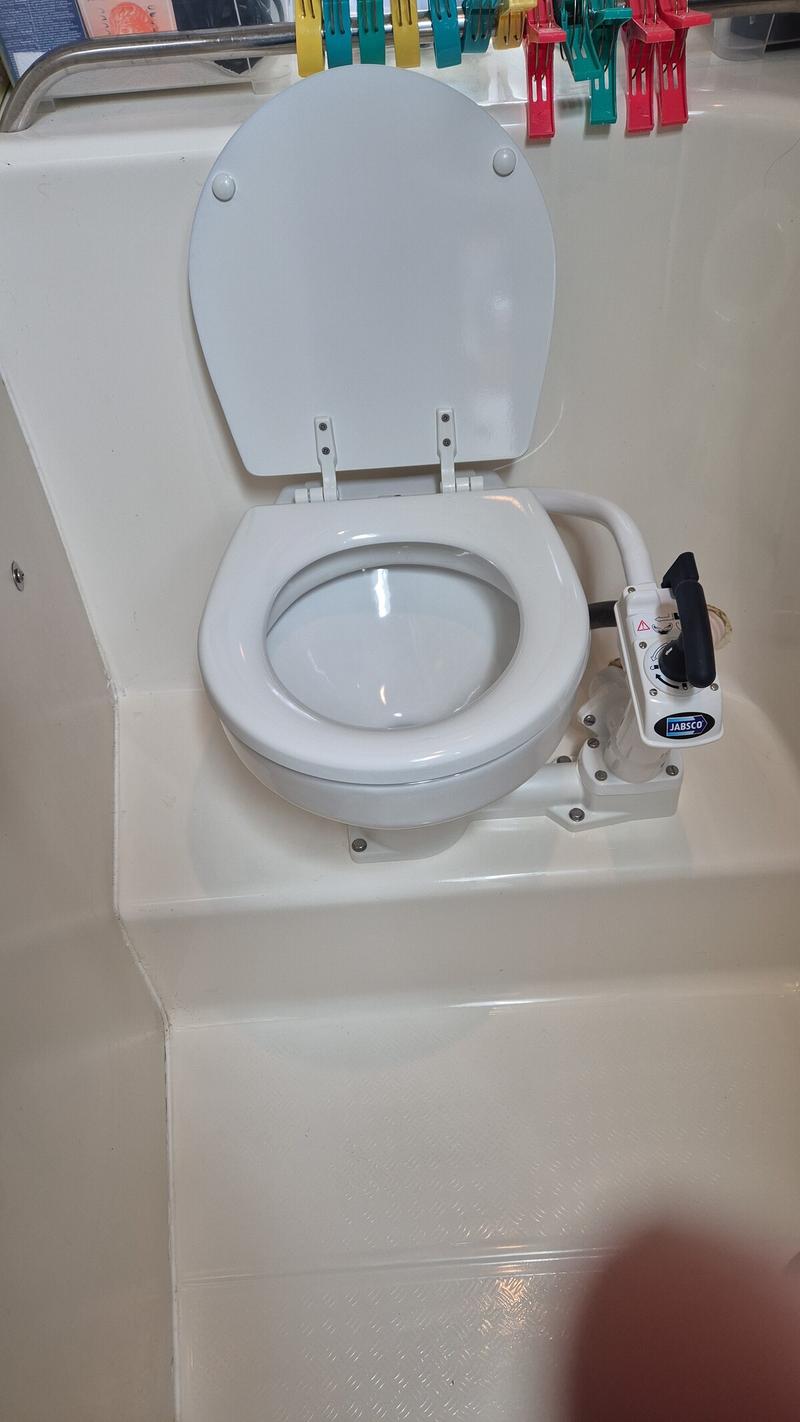 Bayliner 275 foto 20