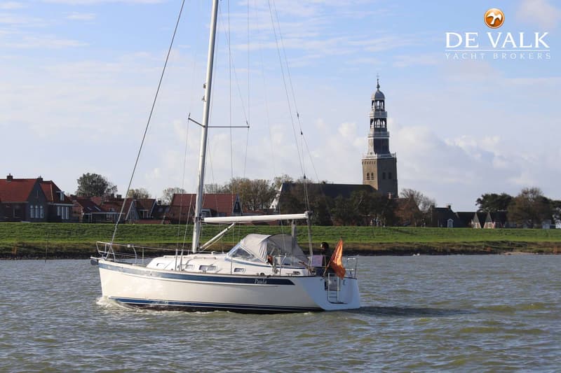 Hallberg Rassy 310 foto 19