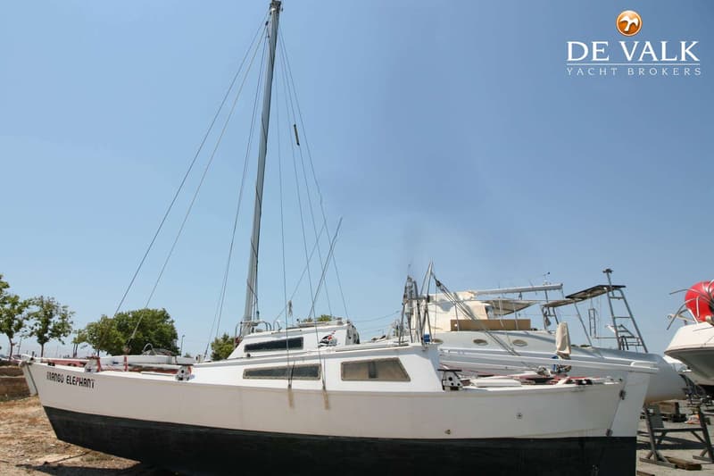 Een witte zeilboot met de naam "MANGO ELEPHANT" op de boeg staat op het droge onder een helderblauwe lucht. — Wharram Tiki 30