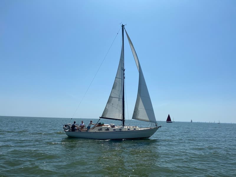Classic Sailing Yacht/Bacchant IV (Zweden) S-spant foto 19