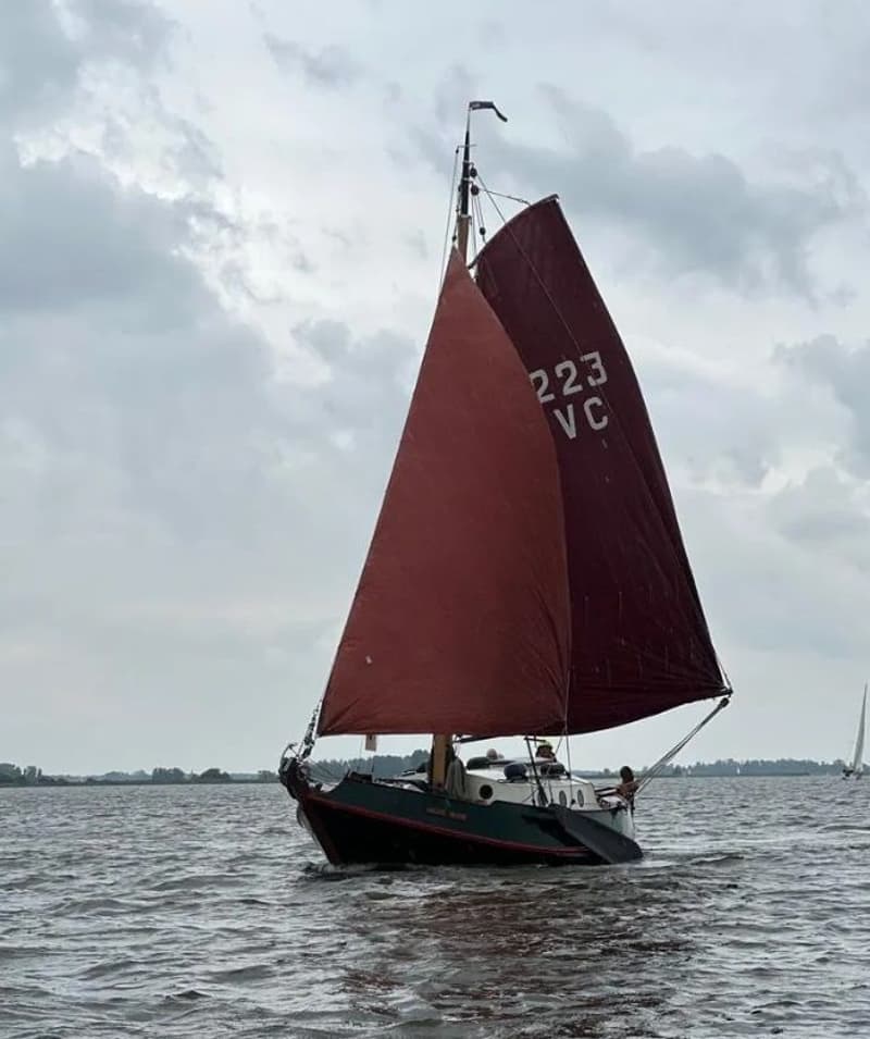 Schokker 9.74 foto 3