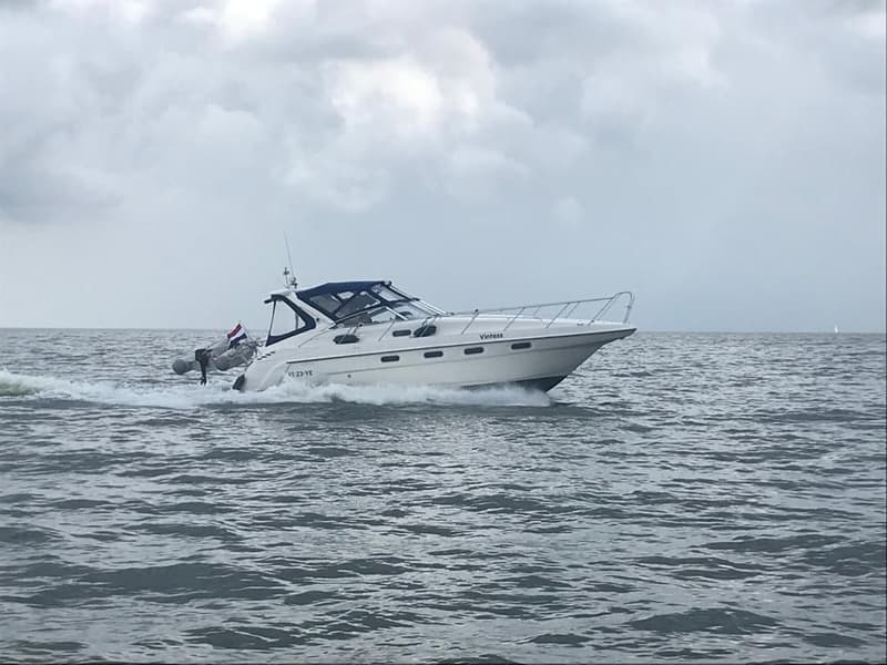 Sealine S37 foto 4