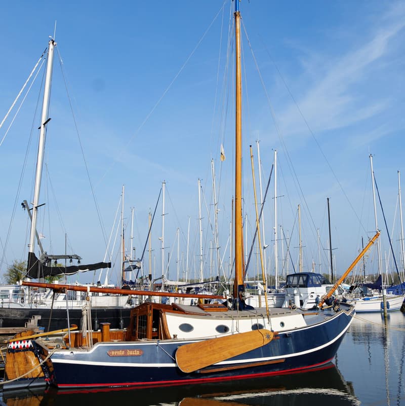 Westerdijk Zeeschouw 10.00 foto 4