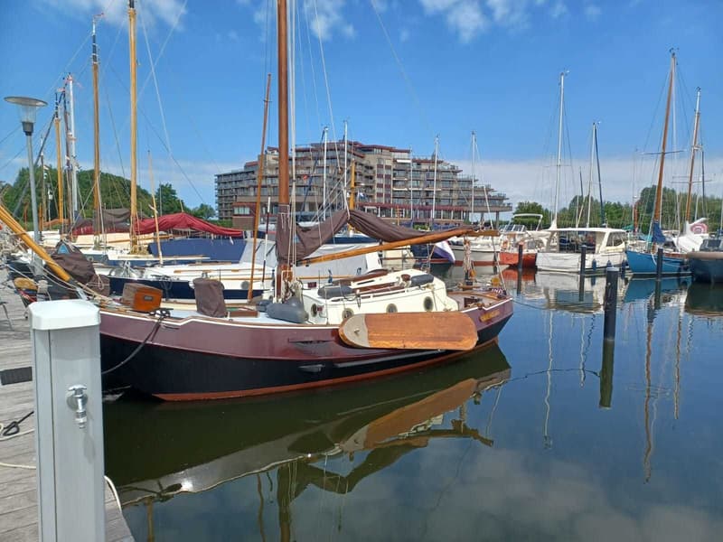 Bekebrede Liamer Zeeschouw 900 foto 1