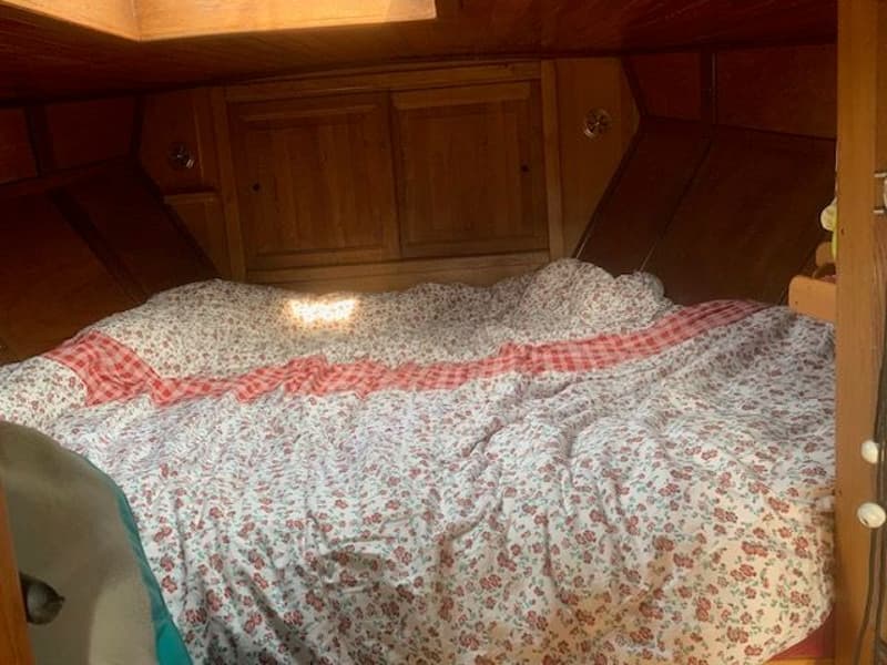 Bekebrede Liamer Zeeschouw 900 foto 19