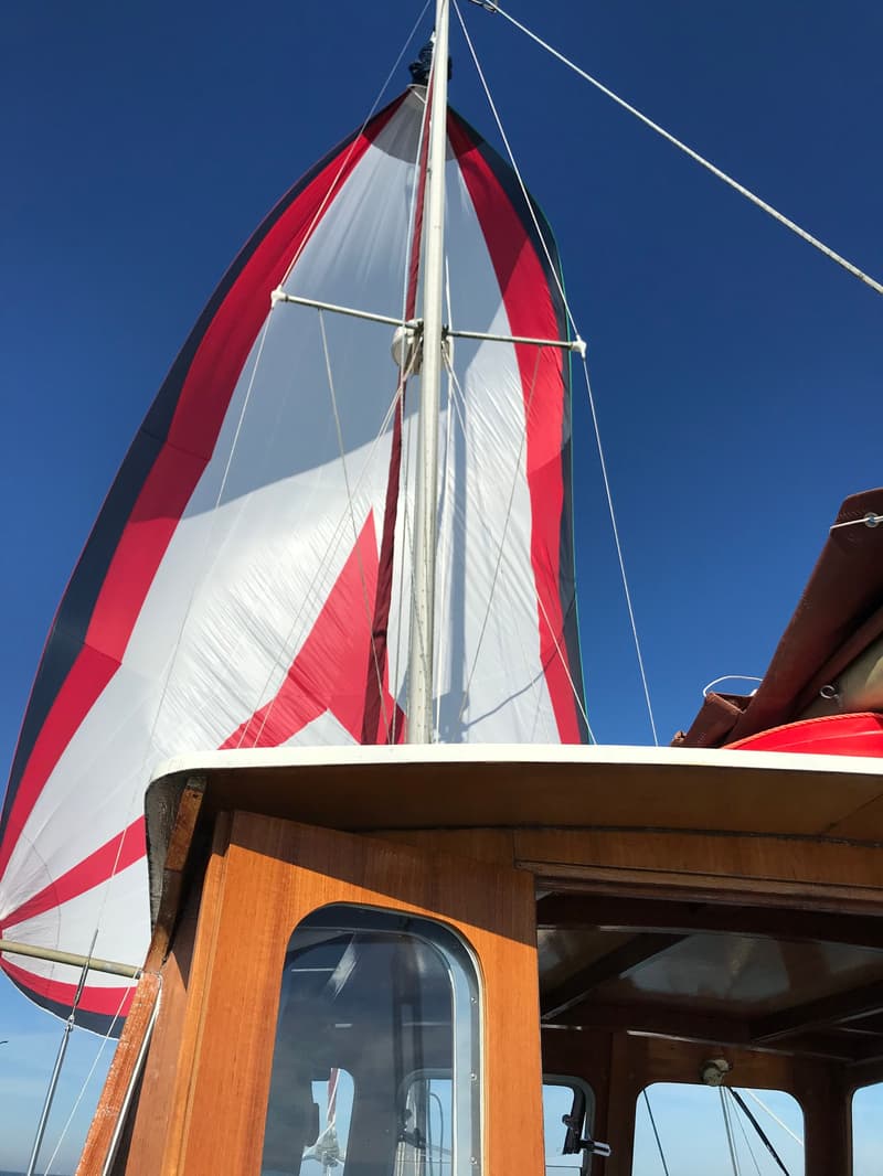 Colvic Watson 28.6 Avonturier foto 5