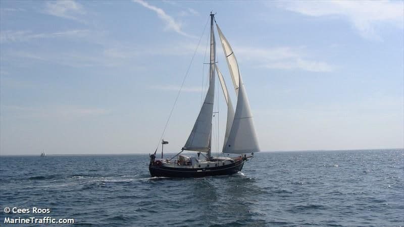 Vikingbank Vripack 1100 foto 3