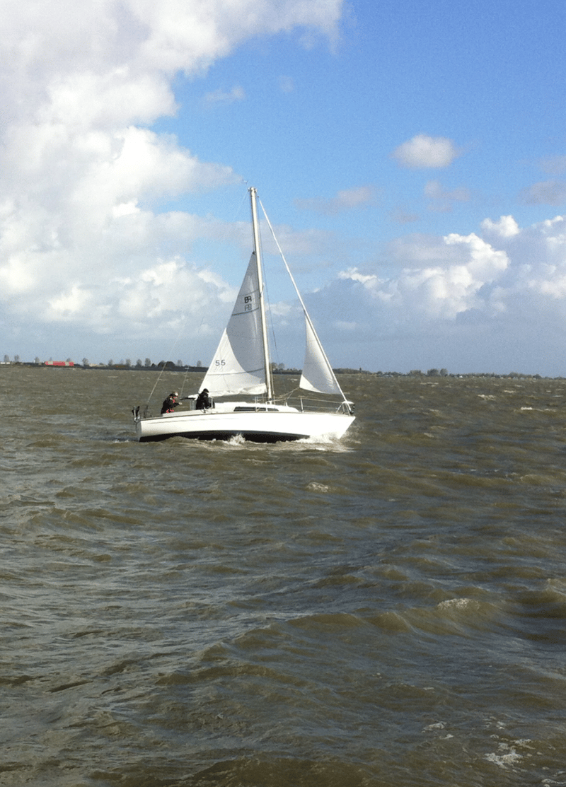 Van De Stadt Bries foto 16