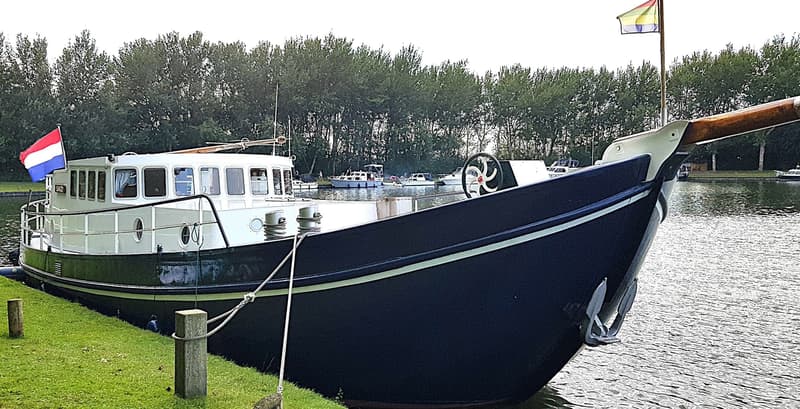 Een donkerblauwe boot met een witte opbouw ligt aangemeerd aan een groene oever, met bomen op de achtergrond. — Botter 14.99