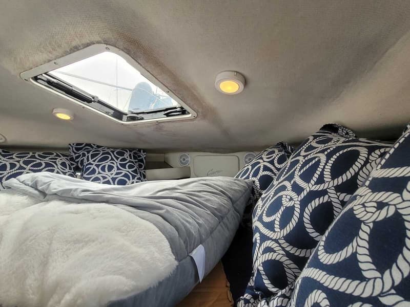 Een kajuit met een bed, kussens met een touwpatroon, een dakraam en twee plafondlampen. — Bayliner 2855 Ciera Sunbridge