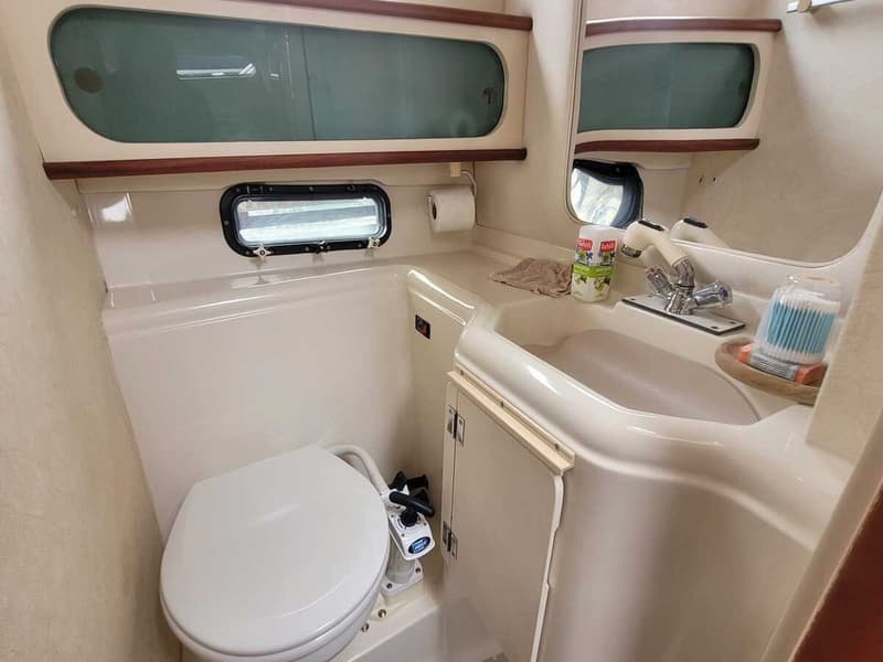 Een boottoiletruimte met een toilet, wastafel, spiegel, ramen en een handdoek.