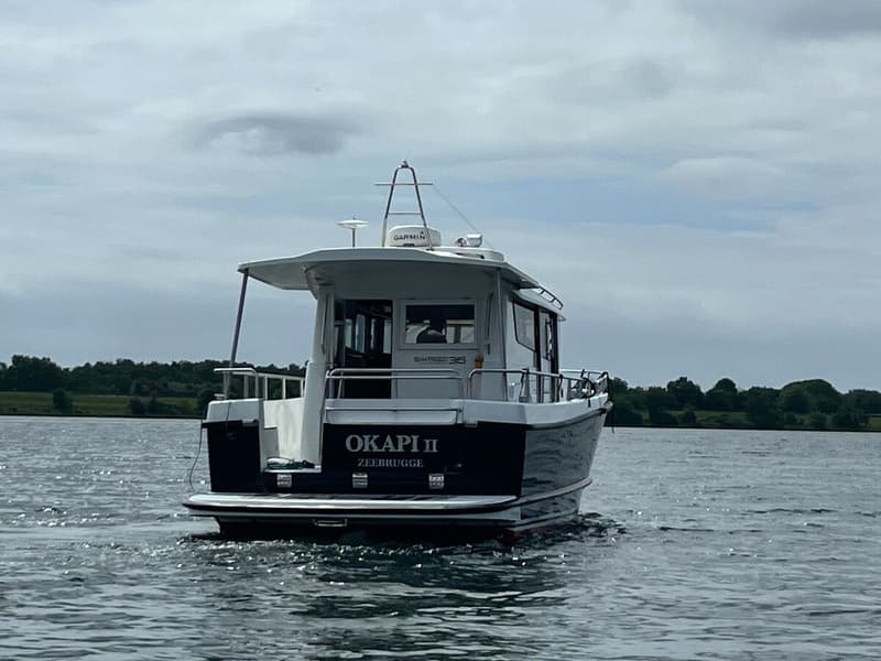 Sargo 36 foto 47