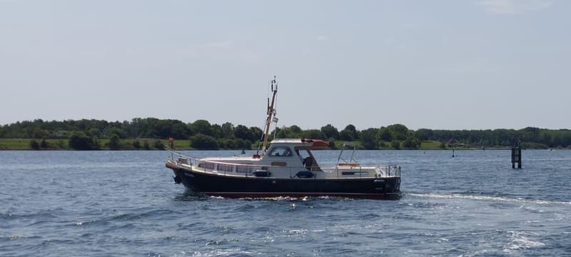 Bruijs vlet 970 foto 14