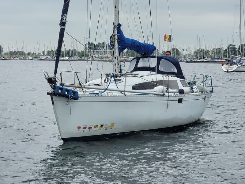 Een witte zeilboot met een blauwe kap en zeil vaart op water, met een haven vol boten op de achtergrond. — Feeling 346