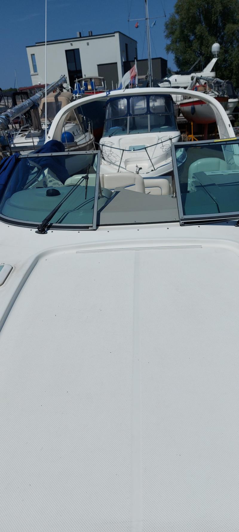 Bayliner 305 foto 13