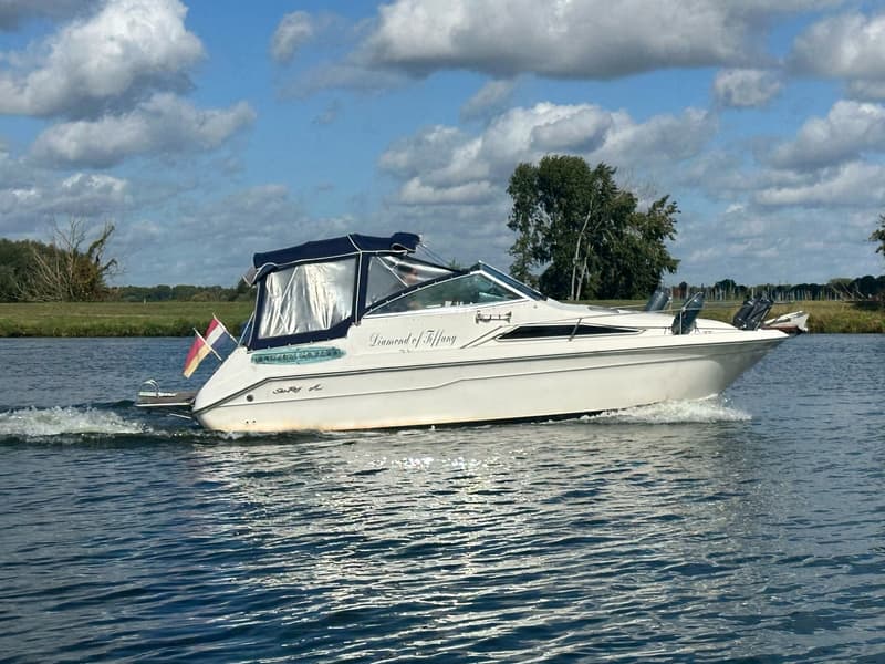 Sea Ray 220DA foto 1