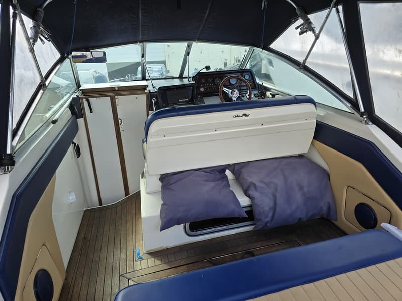 Sea Ray 220DA foto 2
