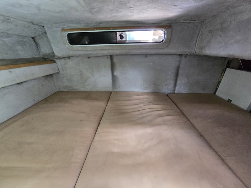 Sea Ray 220DA foto 15