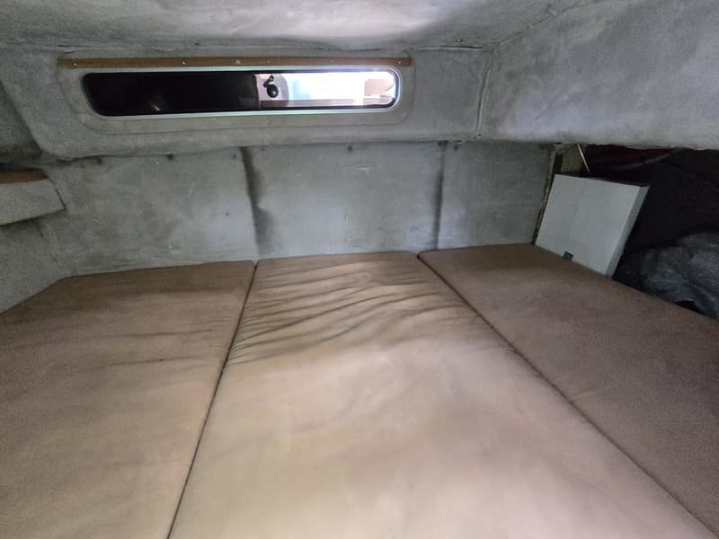 Sea Ray 220DA foto 16