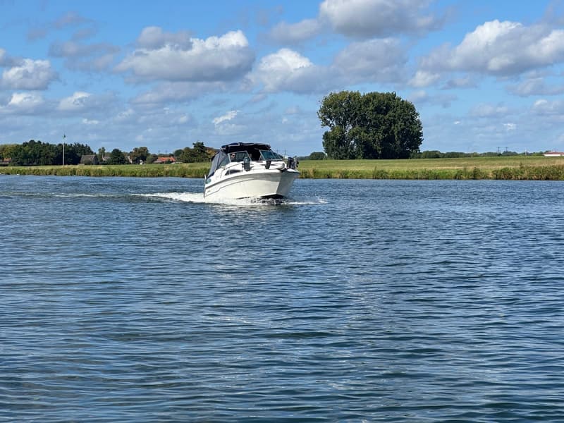 Sea Ray 220DA foto 20