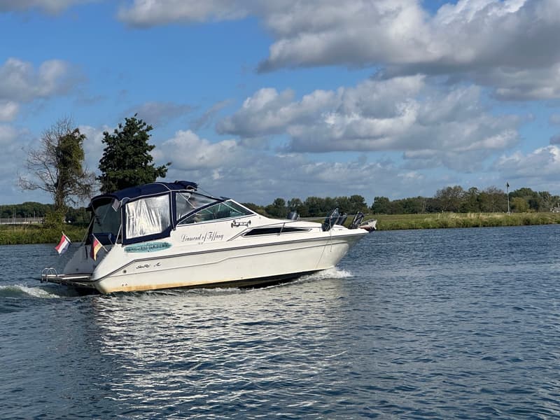 Sea Ray 220DA foto 21