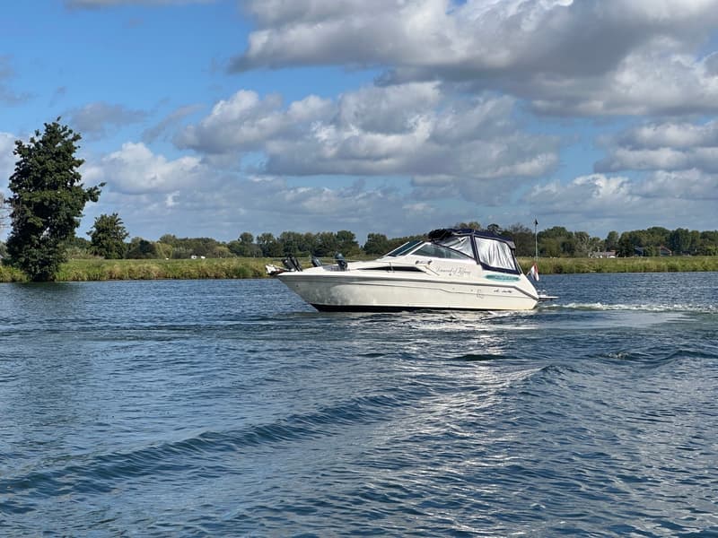 Sea Ray 220DA foto 23