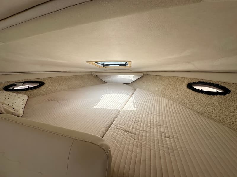 Bayliner 3055 Sunbridge foto 19